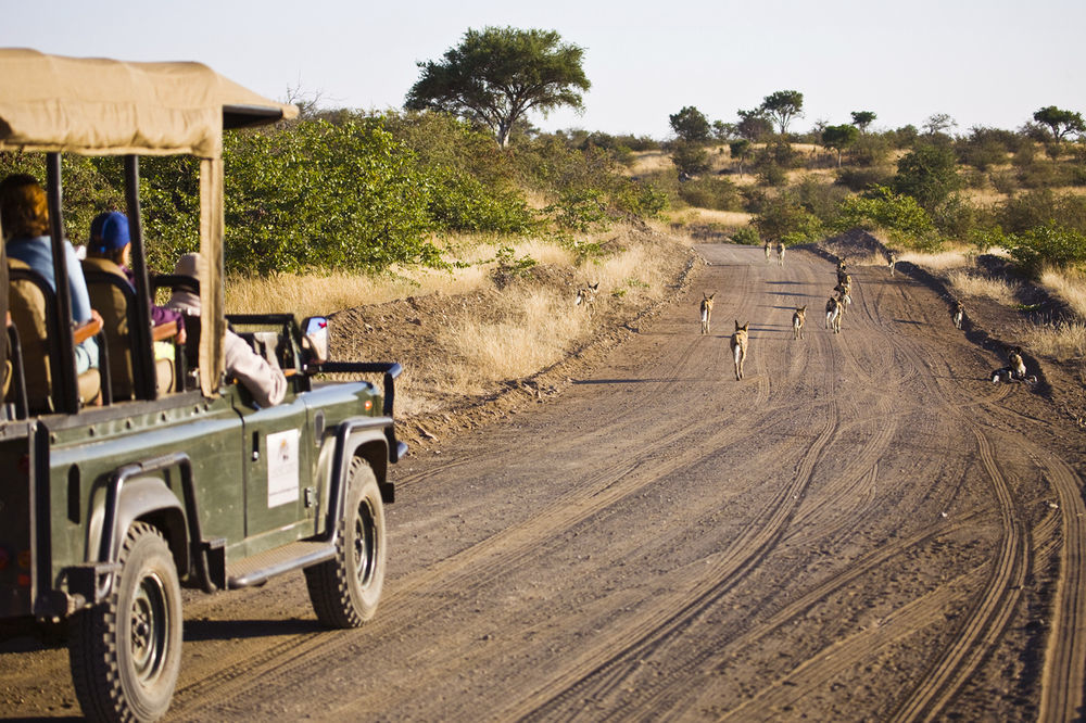 Tuli Safari Lodge Lentswelemoriti Luaran gambar